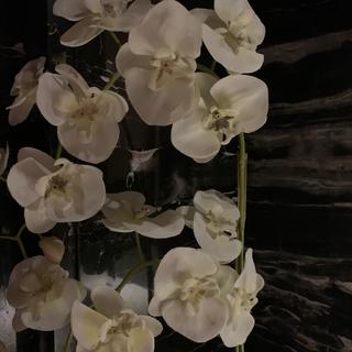 2020哪里有音乐 哪里就乐融融