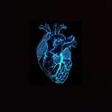 blue heart专辑