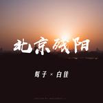北京残阳专辑