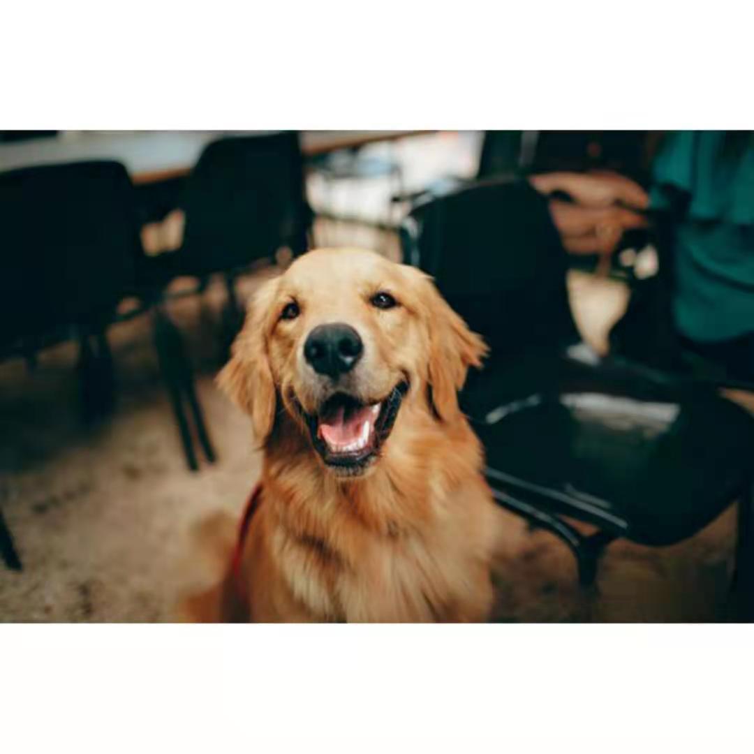 嘿，siri（Prod Lillean）