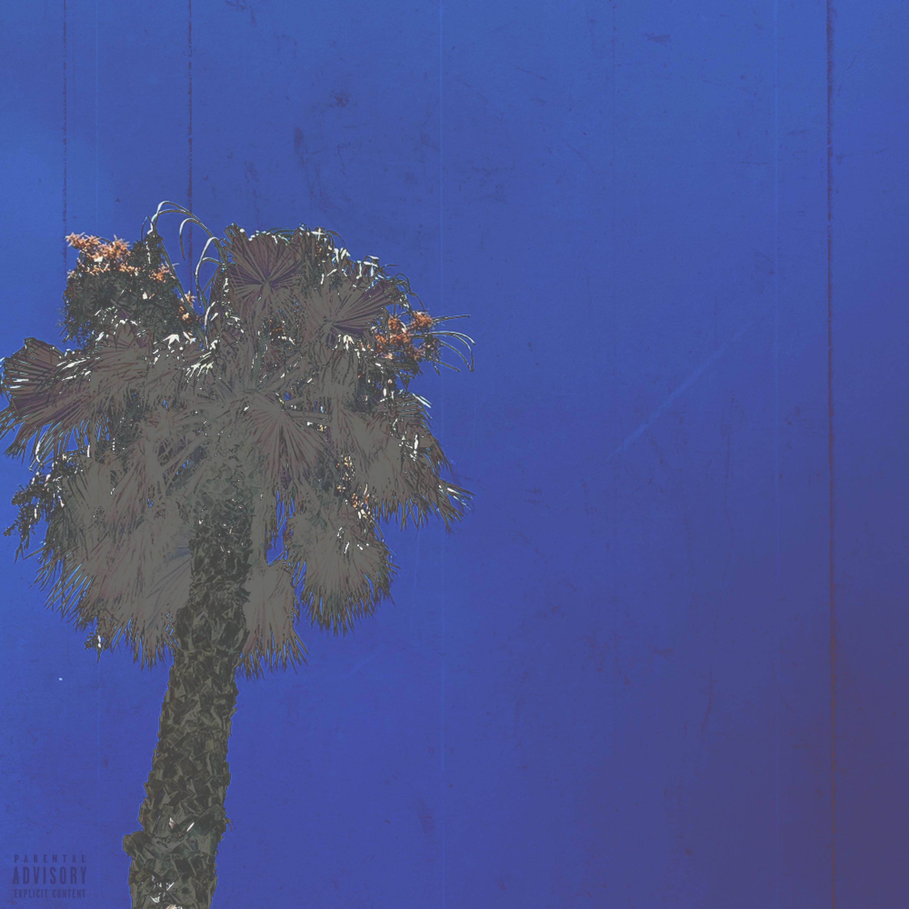 Hidden Hills Freestyle