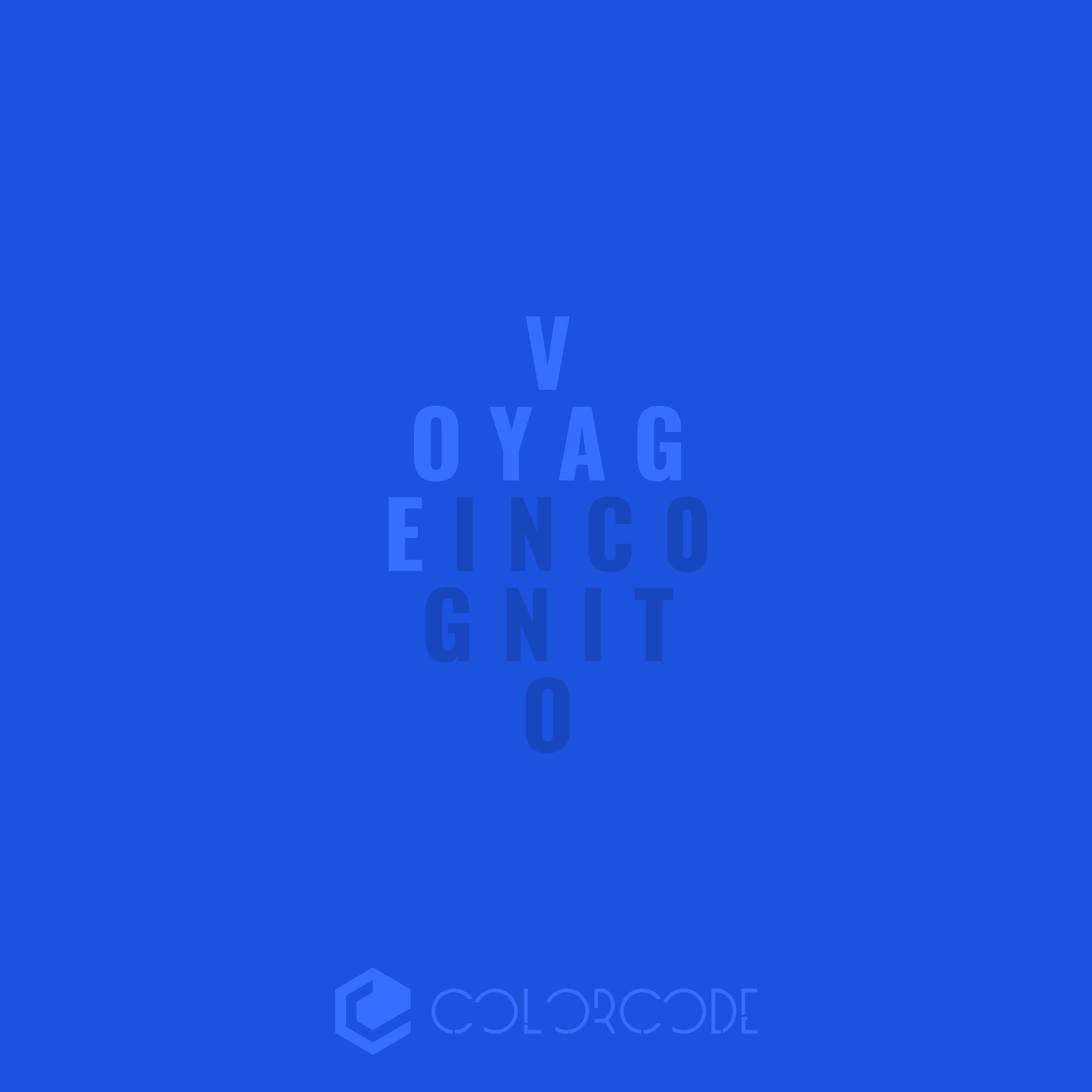 Voyage Incognito