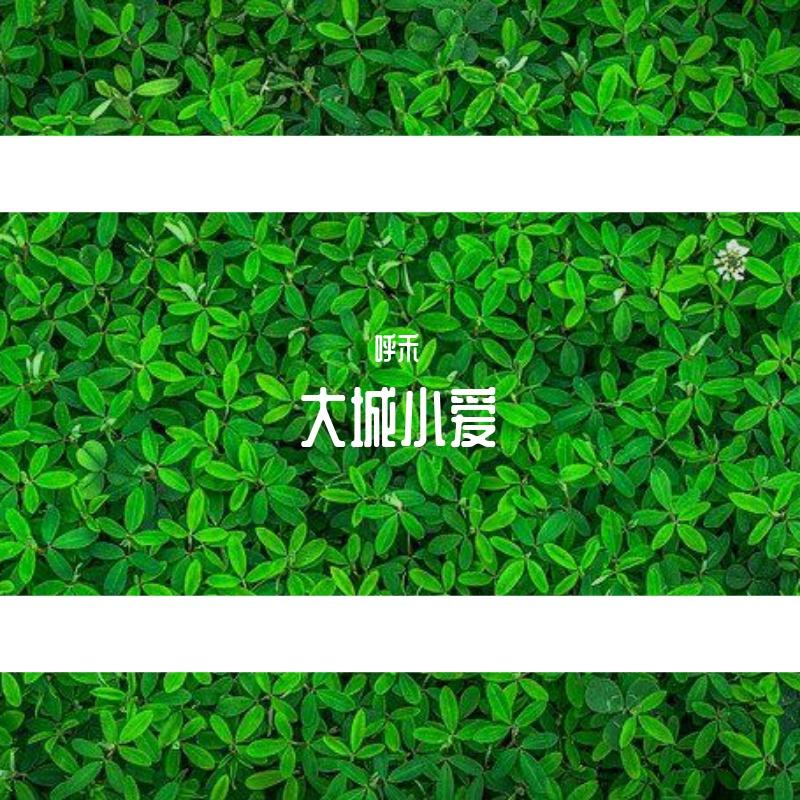 大城小爱