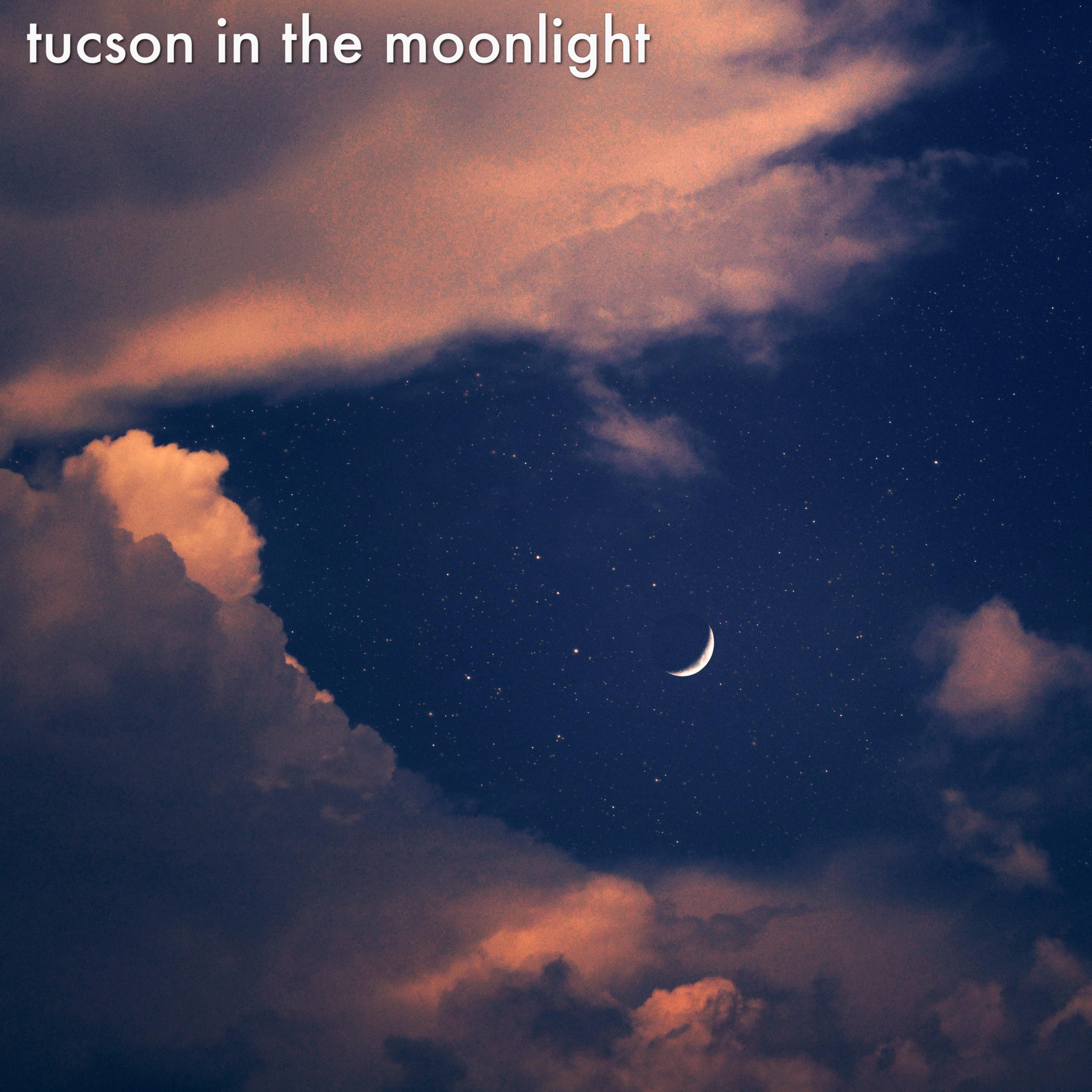 Vince Schuld - Tucson in the Moonlight