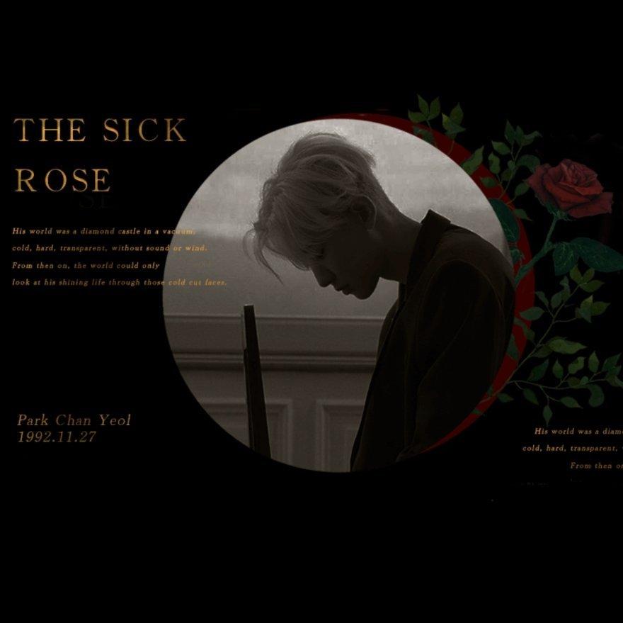 《病玫瑰》 橙光游戏 | 在线播放 | 网易云音乐