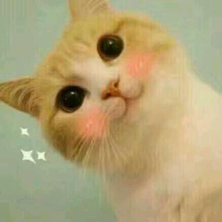 虎牙空伐1