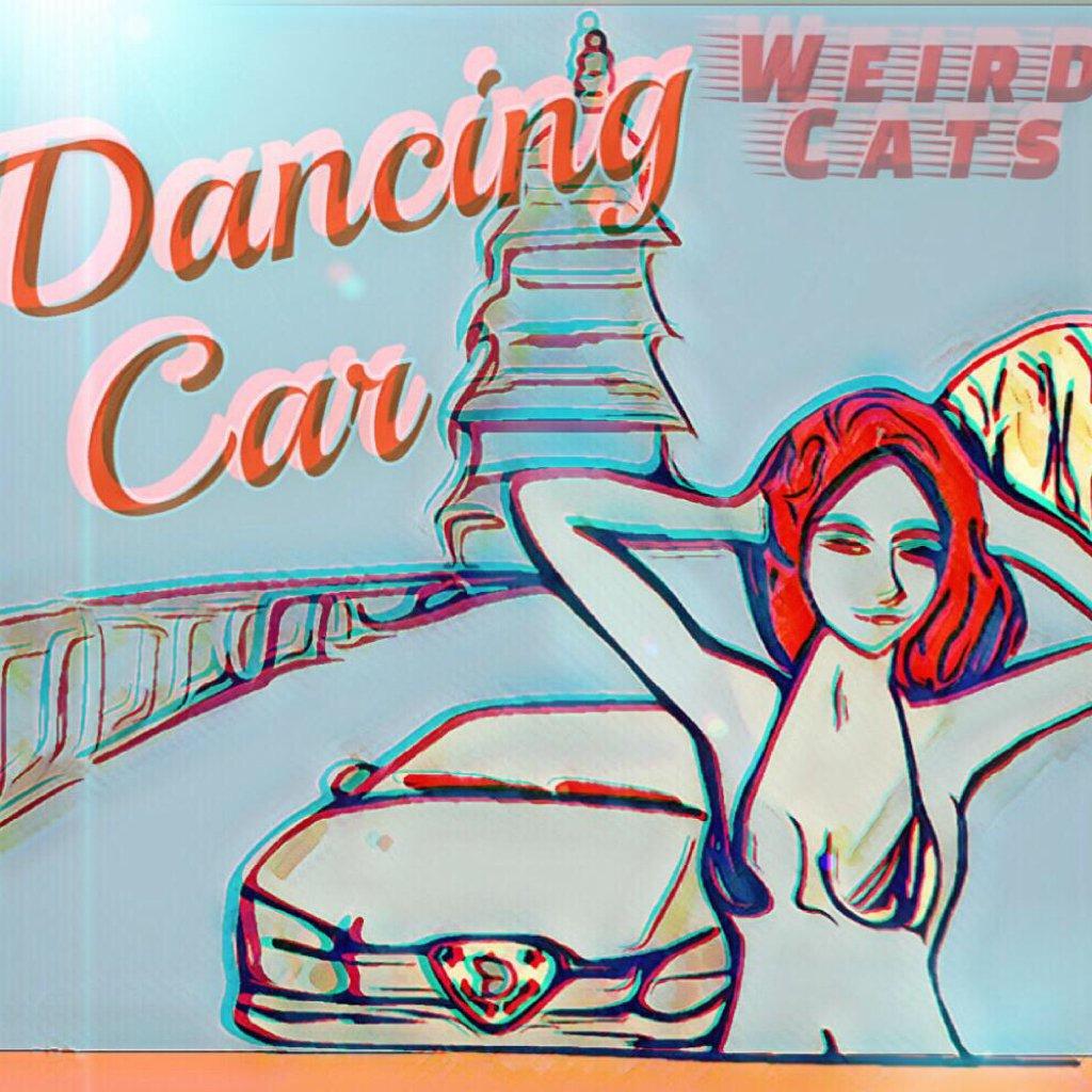 游尽繁华，怪猫乐队(^・x・^)Weird Cats