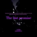 The last promise