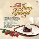 Las Más Bellas Canciones de Juan Gabriel Vol. 2专辑