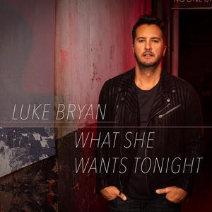 What She Wants Tonight - Luke Bryan (PT Instrumental) 无和声伴奏 （升4半音）