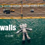 walls专辑