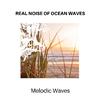 Heavenly Bless Nature Sounds - Oceanic Salinity