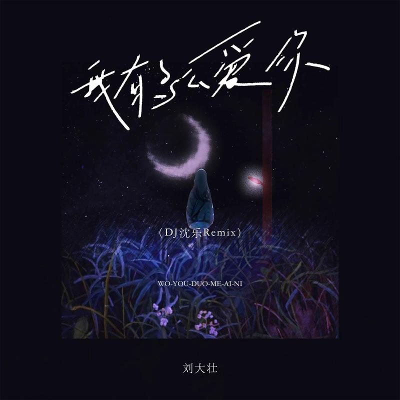 我有多么爱你 (DJ沈乐Remix)