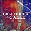 Leicardemond - Cicatrises de Calle (feat. Alaink Zinfonik, Reikat & Beat Dehlone)
