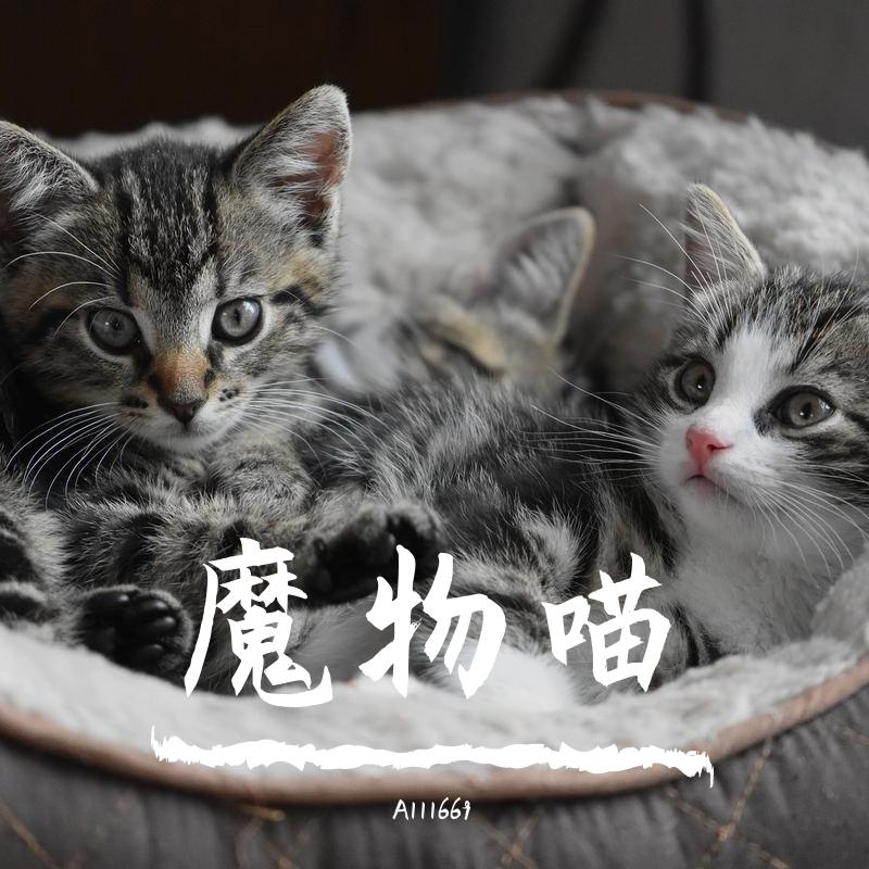 魔物喵