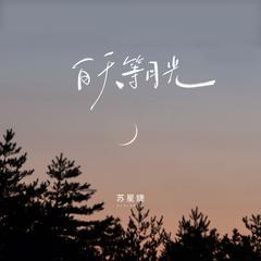 白天等月光（校园广播版）