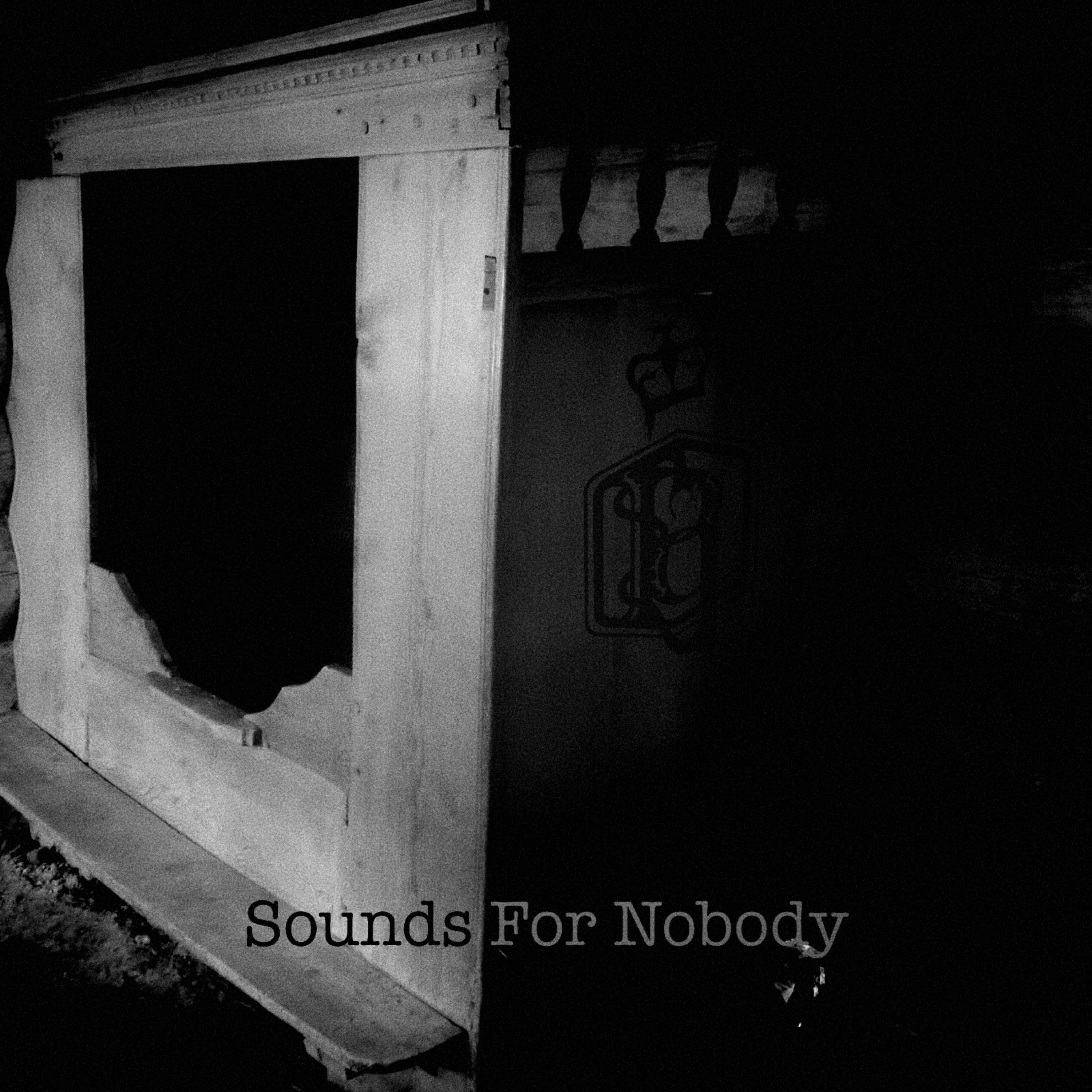Sounds For Nobody
