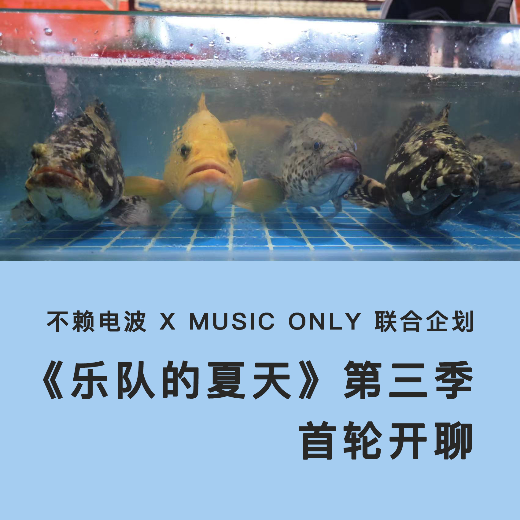 《乐夏第三季》第三期：我若拿出唢呐，阁下又如何应对 episode artwork