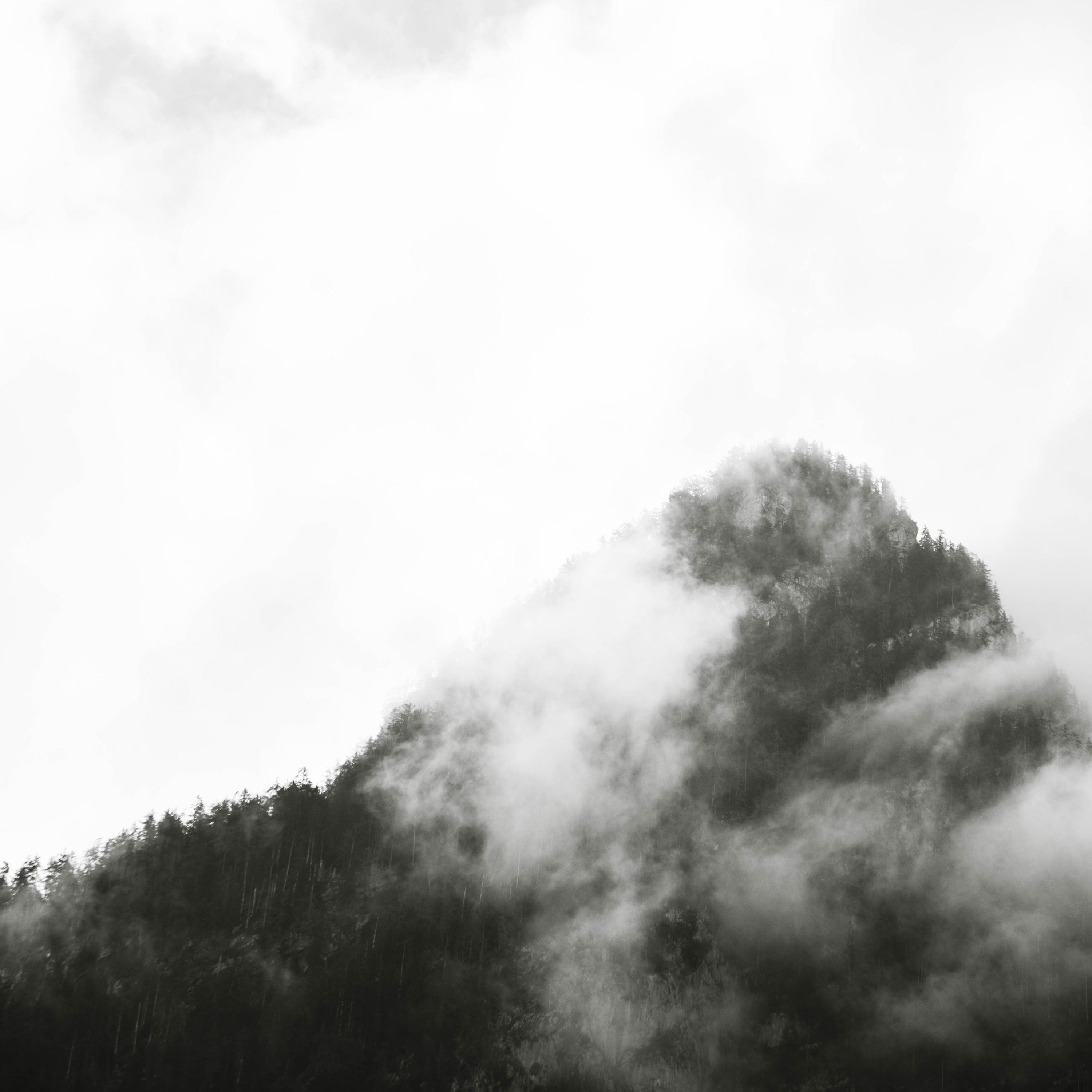 Healthy Meditation Focus