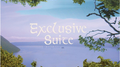 Exclusive Suite专辑