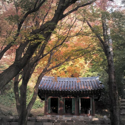 Korean Romance