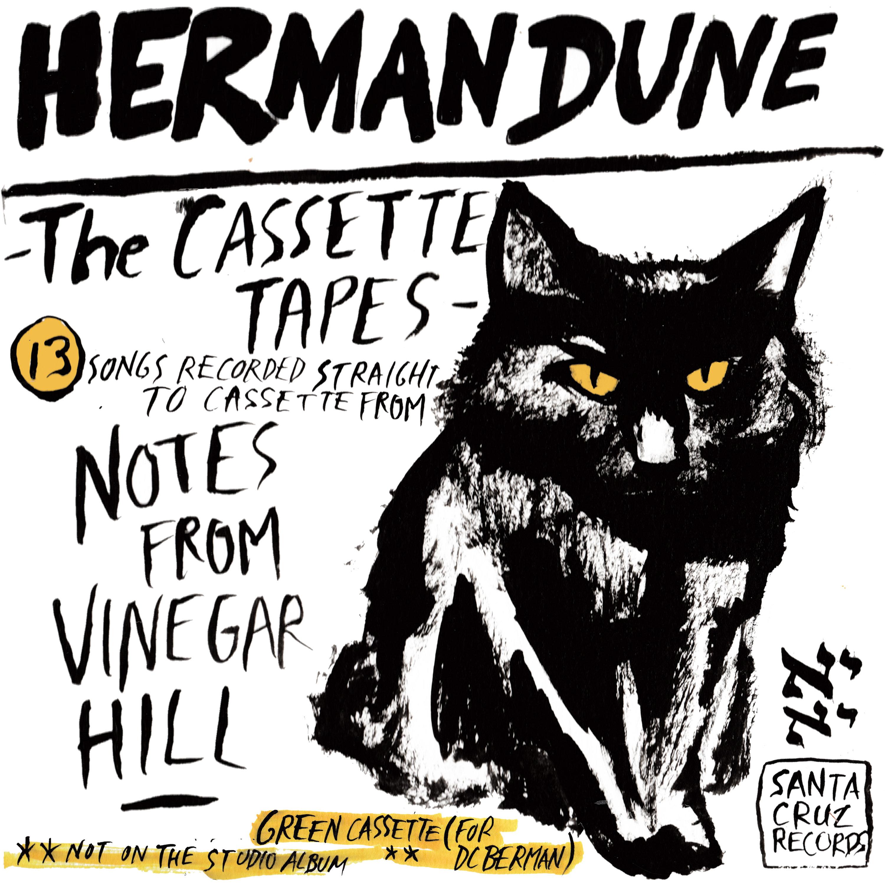 The Cassette Tapes from Vinegar Hill