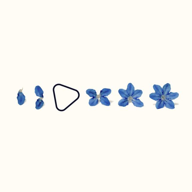 Indigo E.P.