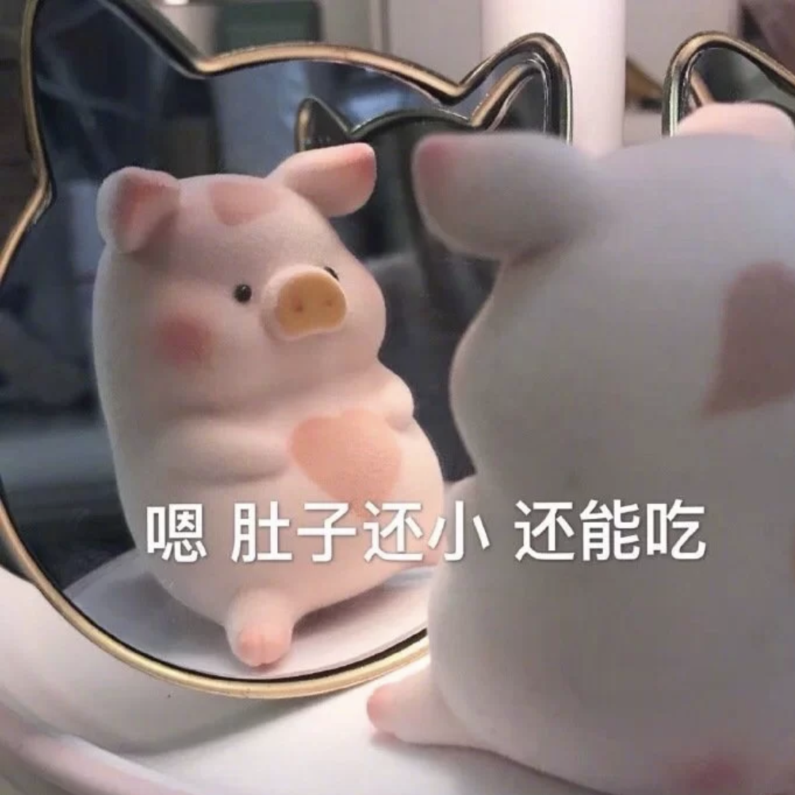 小猪小猪软乎乎♡遇到困难呼噜噜