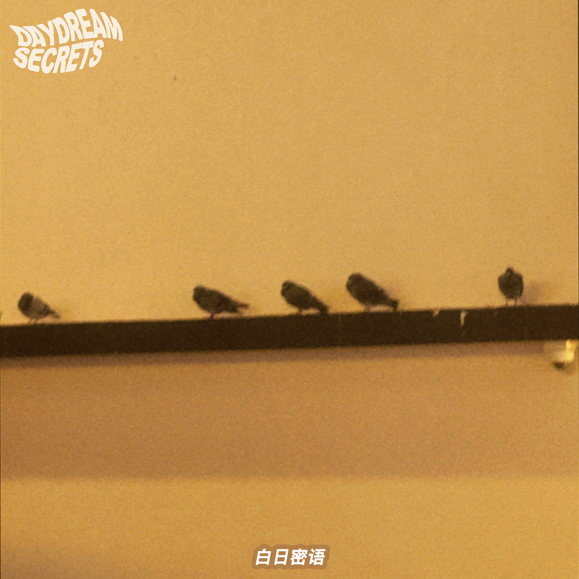 晚风替我去爱你