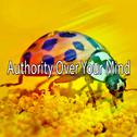 Authority Over Your Mind专辑