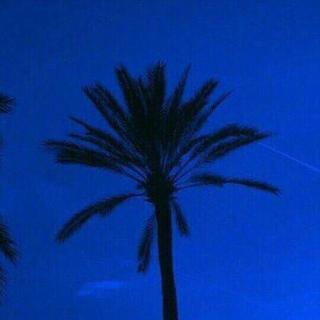 『落日』夏天/海边/黄昏/心上人