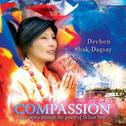 Compassion专辑