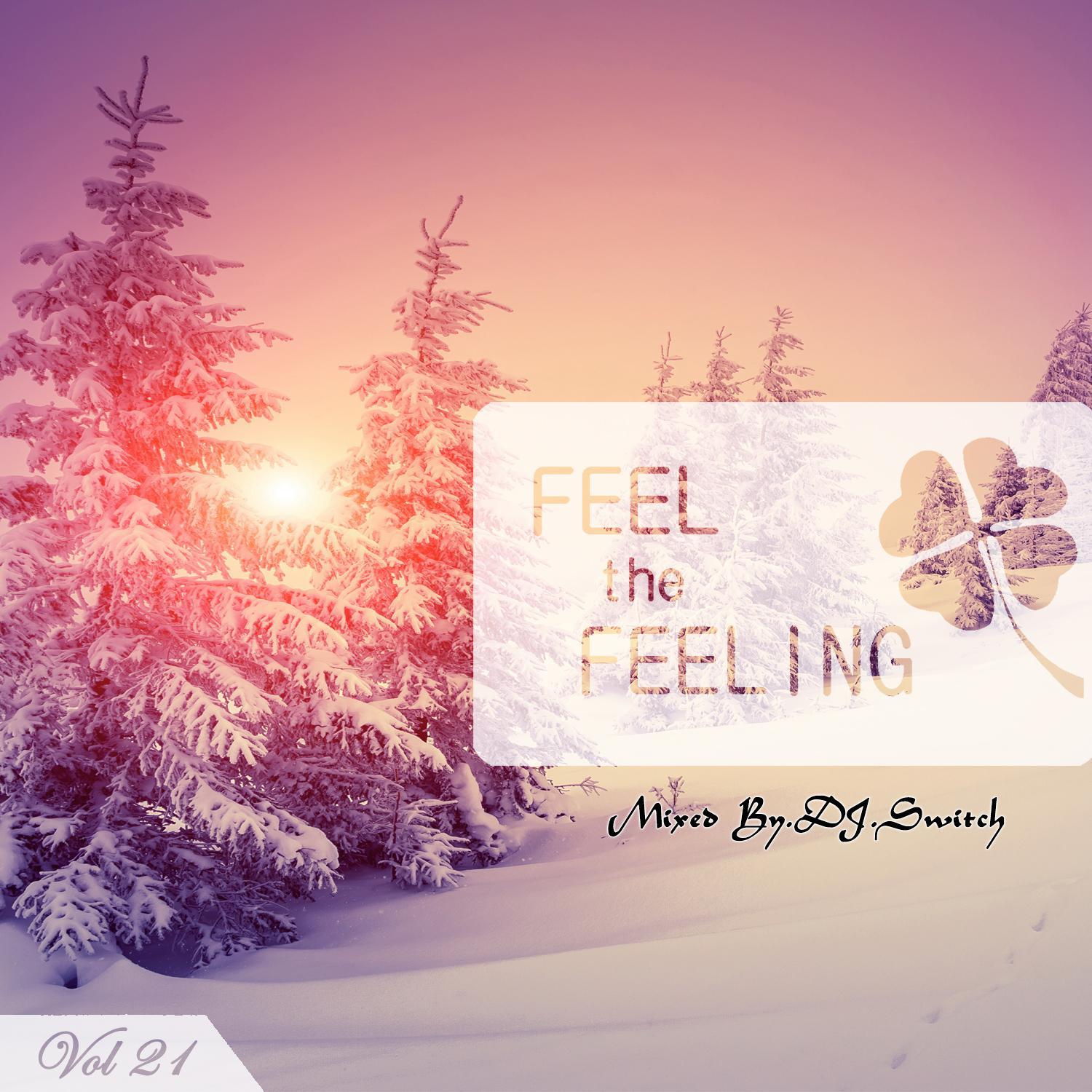 Feel The Feeling Vol.21专辑