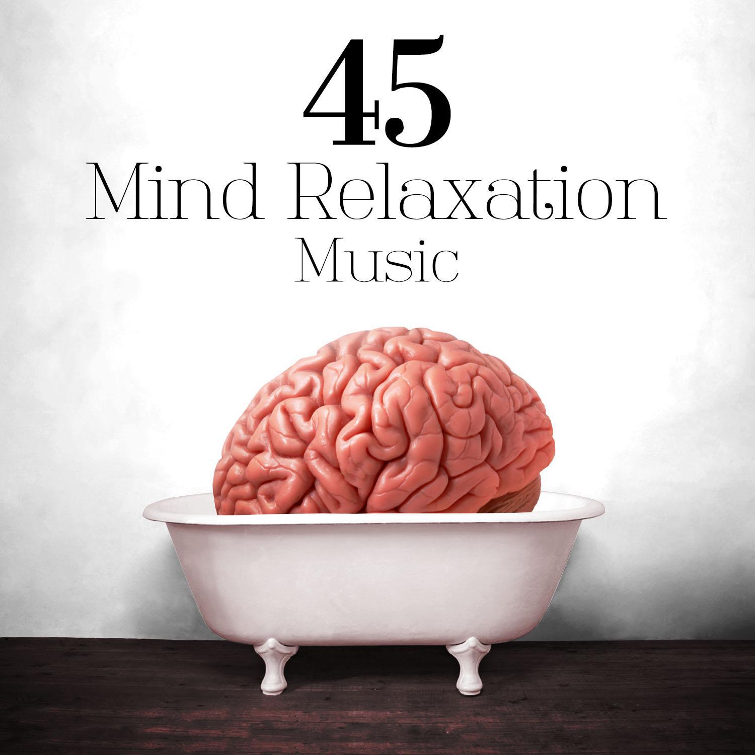 45 Mind Relaxation Music专辑