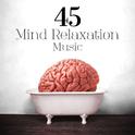 45 Mind Relaxation Music专辑