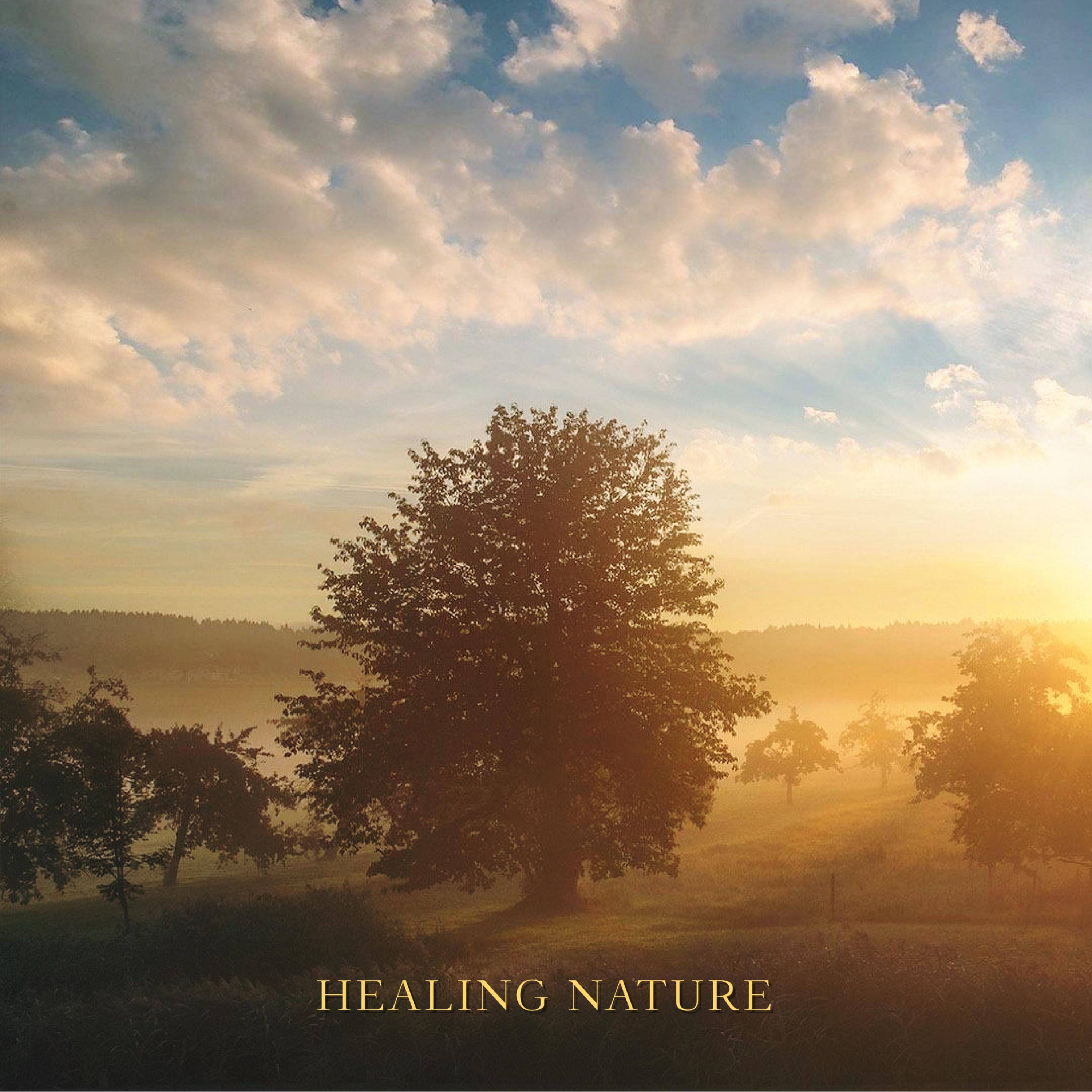 Healing Nature专辑