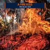 Blaze Affection Fire Nature Collection - Highrise Forest Woodland Beach