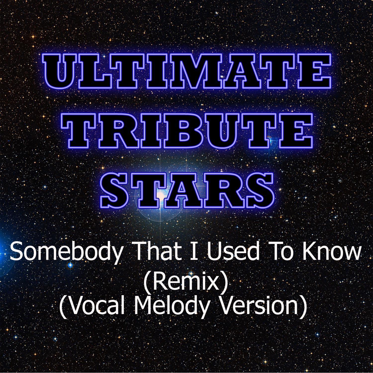 Gotye feat. Kimbra - Somebody That I Used To Know (Remix) (Vocal Melody Version)专辑