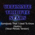 Gotye feat. Kimbra - Somebody That I Used To Know (Remix) (Vocal Melody Version)专辑