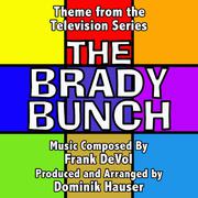 The Brady Bunch - Theme from the TV Series (Frank Devol)