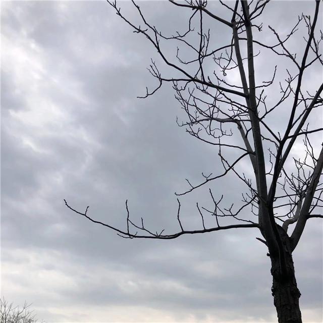 山海