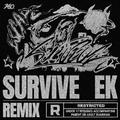 Survive (Remixes)