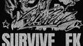 Survive (Remixes)专辑