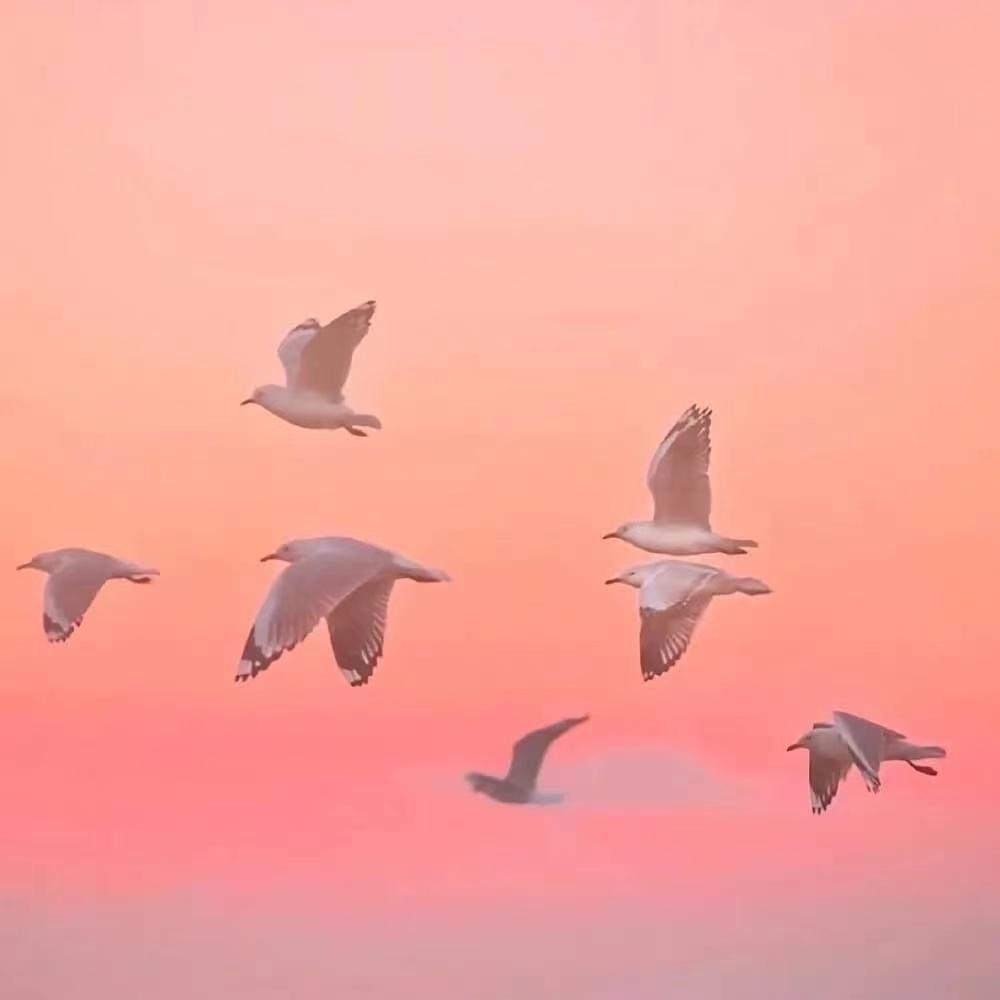 风情月意
