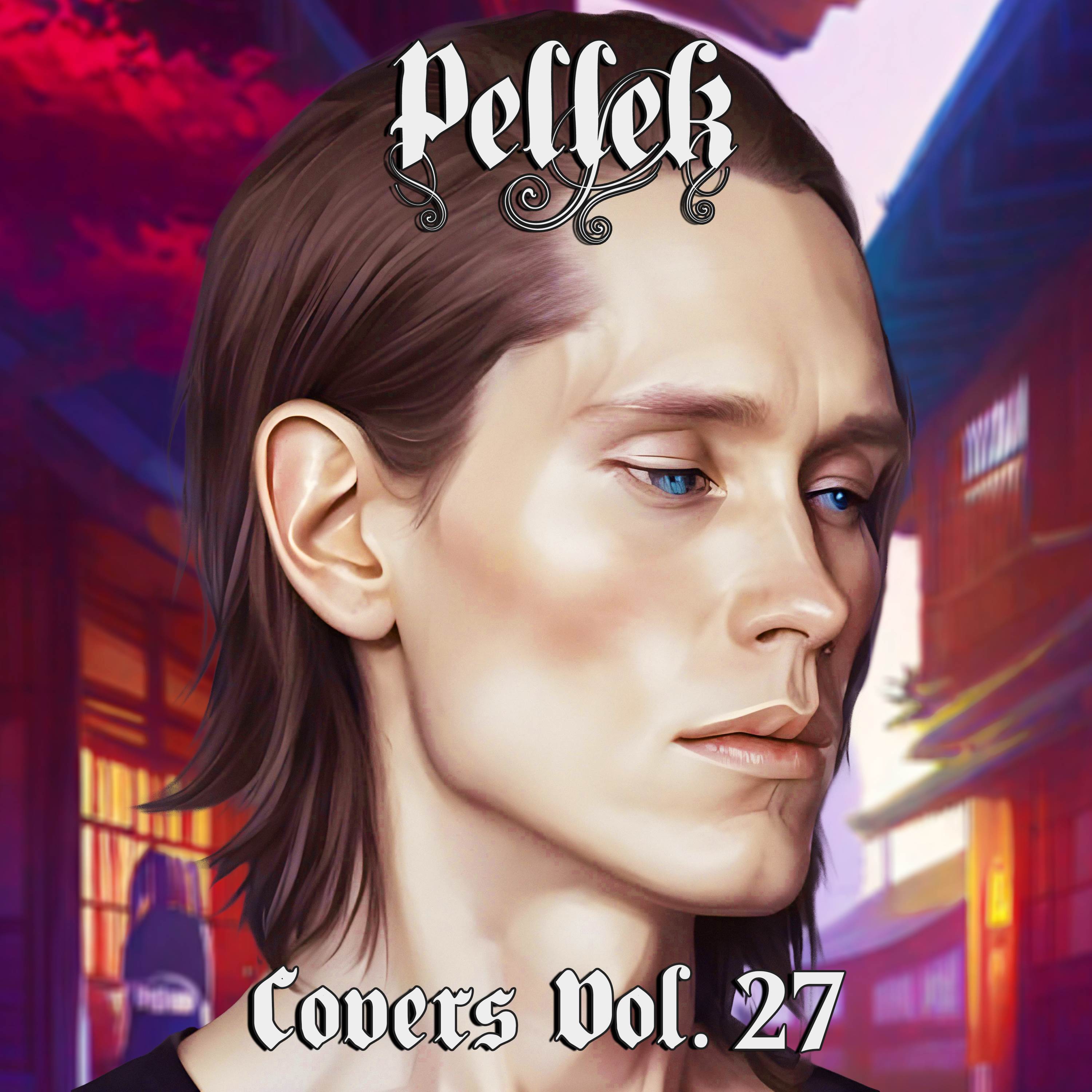 Covers, Vol. 27