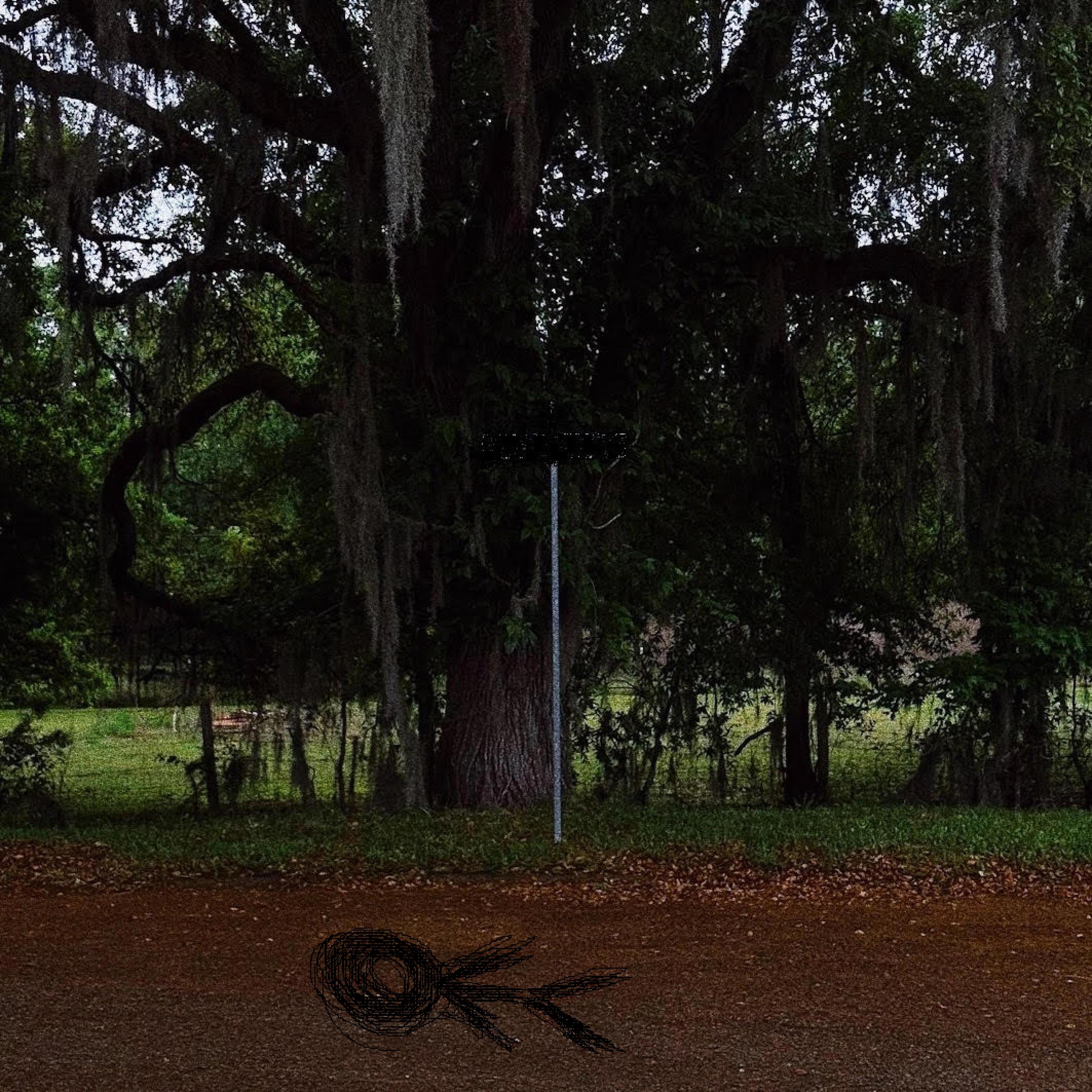 if i die at least i lived