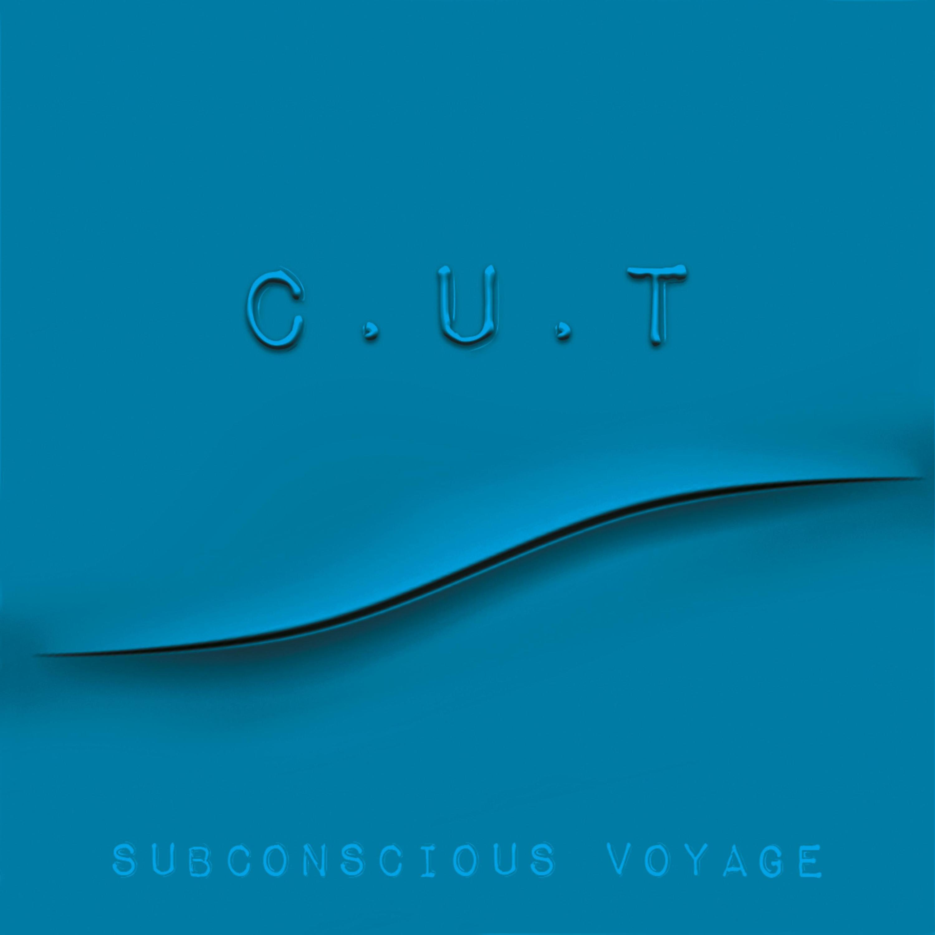 Subconscious Voyage