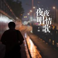 王峰-夜夜唱情歌(DJ何鹏版)