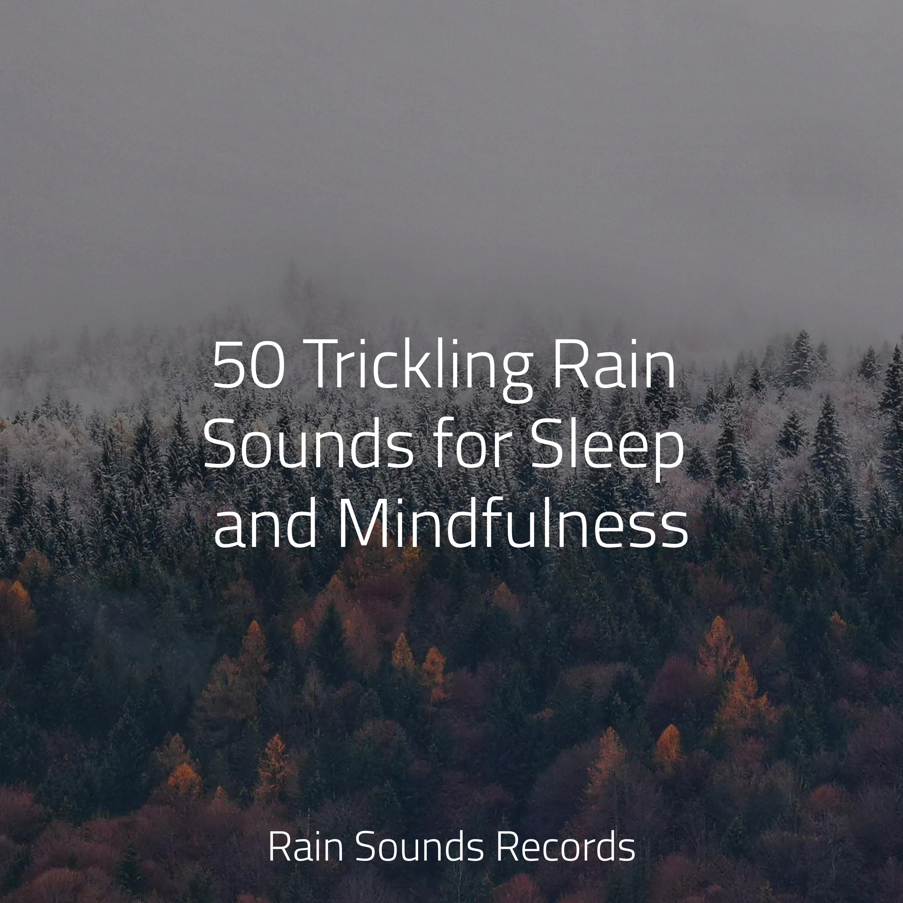 50 Trickling Rain Sounds for Sleep and Mindfulness - Pro Sound Effects ...