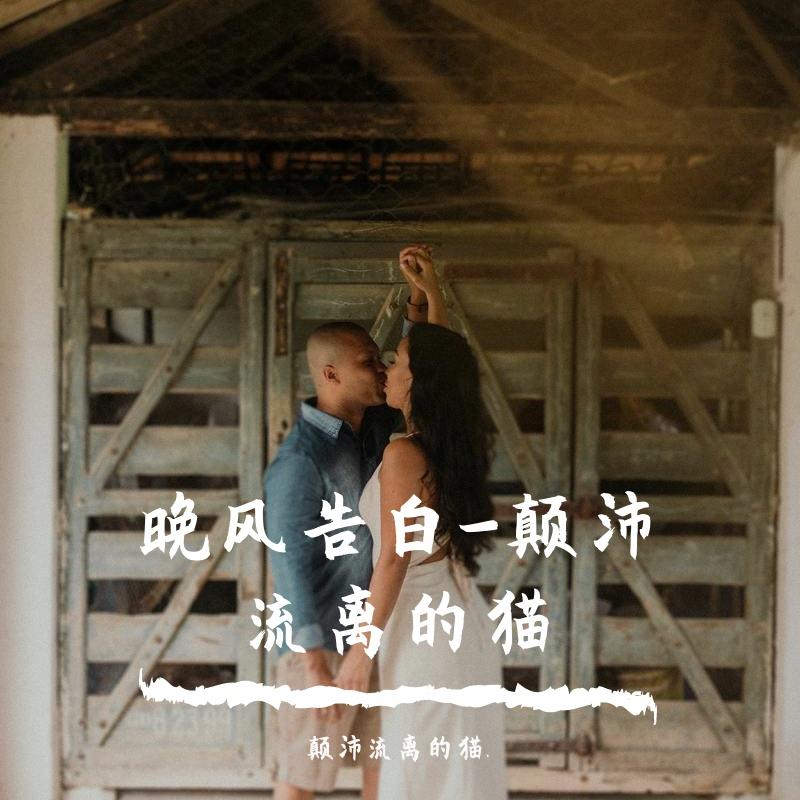 晚风告白-颠沛流离的猫